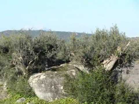 0 Monsaraz, belleza medieval