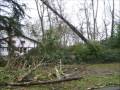 TEMPETE MONT DE MARSAN 24-25 JANVIER 2009 !