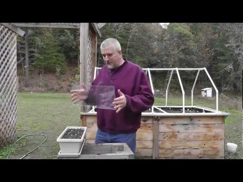 how to grow under lights