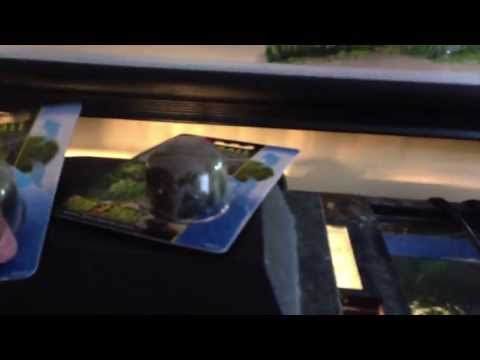 how to eliminate turtle odor