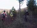 Finding the right Christmas Tree