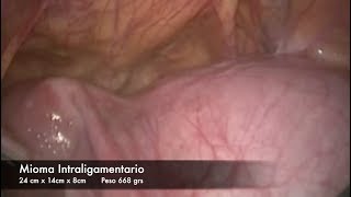 Octavio Herrera Osorio-11
