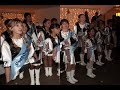 glasuri de argint si haidro sistems   oda bucuriei  