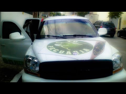 @groAGENDA 1º BOI NO ROLLETE EM MONTALVANIA-MG
