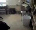 Office Office
