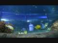 sea life - alton towers preview