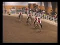Starfire Farm Quadrille at NFHR\