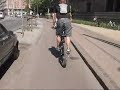 Amager faelled - Amager