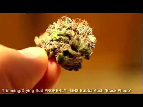 how to trim weed buds fast