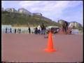 videos de skate zamora  vaguada.mpg
