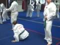 videos de Grandmaster Moreland Hapki conversion tec