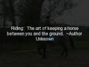 Every Horse Owner
