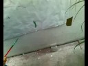 Natan Pintando