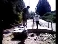 pogoin on the rocks