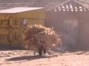 potolo  bolivia 2008