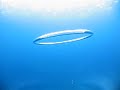 W Bubble Ring ?pie)