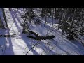 awf double ejection