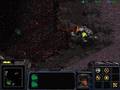 Starcraft Brood War - Terran 08 To Chain the Beast in 4:43