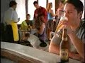 Skol - Cachorrinho Skol - Cachorrinho