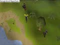 Norther N00b meets 