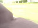 CRAZYBOB AND I GOIN A LIL FAST