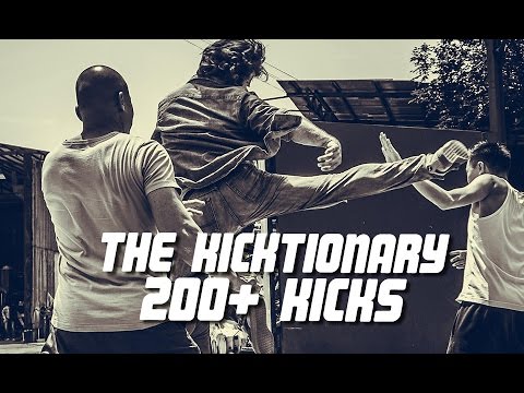 Can You Kick It?! Kicktionary 200+ Kicks for Film - Eric Jacobus / Stryker (stuntpeople)