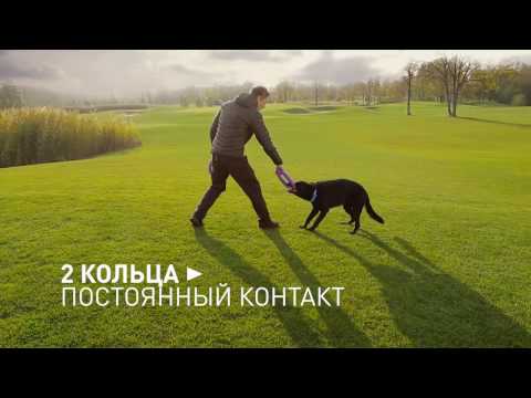PULLER – инновационный тренировочный снаряд для собак!