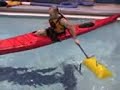Paddle Float Rescue: Sea Kayak Rescue Techniques