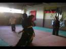 aiki-kung-jutsu