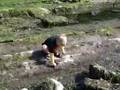Dom Pulling Patrick for Spungebob off the rocks at Galliano