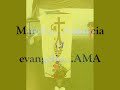 profesion de hna maria del carmen