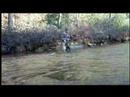 Fly Fishing