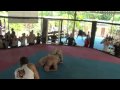 Nevertap Asia 2010 – Light Heavyweight – Match 7