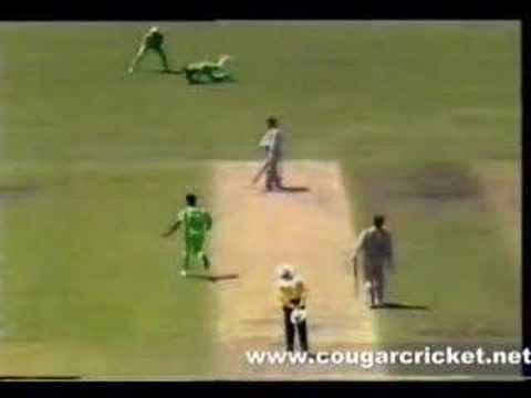 rashid latif