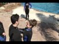engagement-proposal-for-the-ages.html