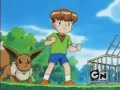 pokemon capitulo 36 - Los belicosos hermanos Eevee!(3/3)