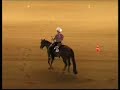 European Quarter Horse Championships 2006