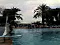 PiscinaLisca