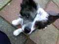 Amy going crazy 2
