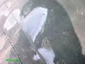 Helmet Cam Apartment Fire 5035 Central Ave SE