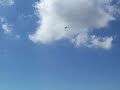 primo volo aliante rc in pendio 1/3