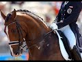 Moments of dressage..