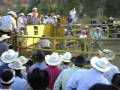 videos de marks 1