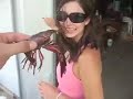 Crawfish Boil