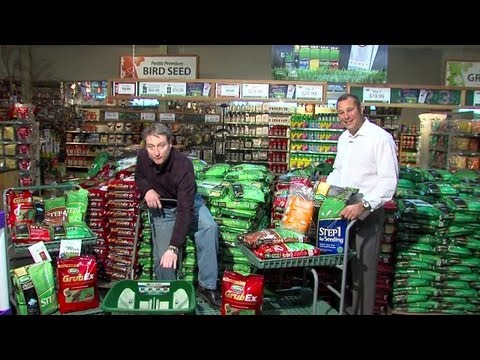 how to fertilize overseeded lawn