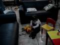 videos de Gabi andando com plataforma 15 cm