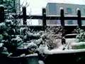 初雪2