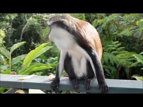 2013 grand national 2013 grand national