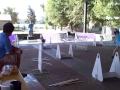 Meegs and Leah=Meeg's flyball debut!