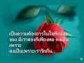 เรารักกัน-ซาร่า ผุงประเสริฐ